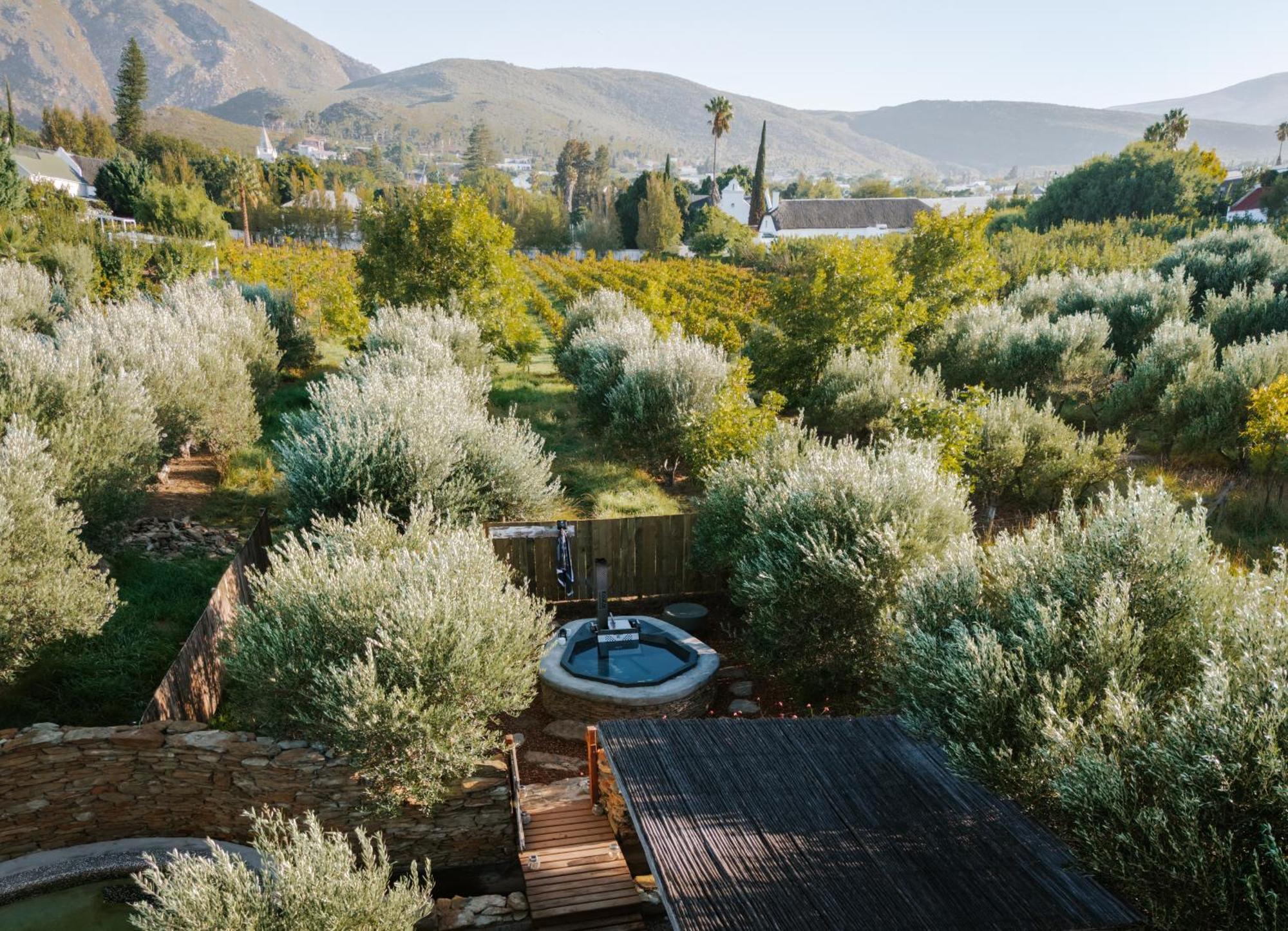 Olive Stone Farm Cottages Montagu Εξωτερικό φωτογραφία
